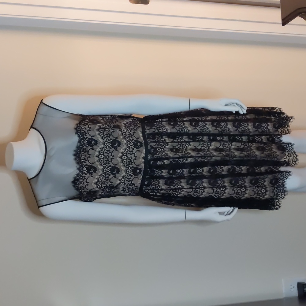 New Maggy London Dress